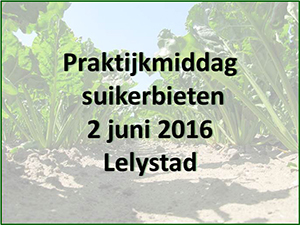 Kom 2 juni naar Lelystad voor de Praktijkmiddag suikerbieten!