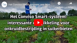 Video ‘Het Conviso Smart-systeem: een interessante nieuwe ontwikkeling voor onkruidbestrijding in bieten’