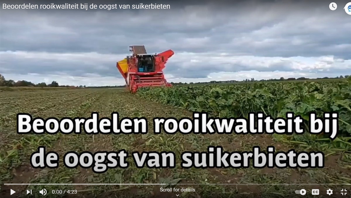 Video ‘Beoordelen rooikwaliteit bij de oogst van suikerbieten’