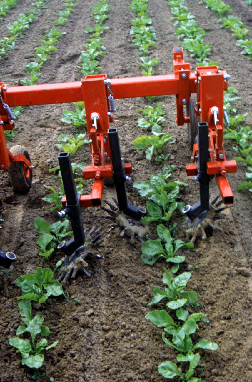 Afbeelding met grond, buiten, landbouwmachine, outdoor-object Automatisch gegenereerde beschrijving
