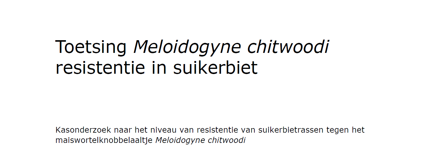 Toetsing <i>Meloidogyne chitwoodi</i> resistentie in suikerbiet