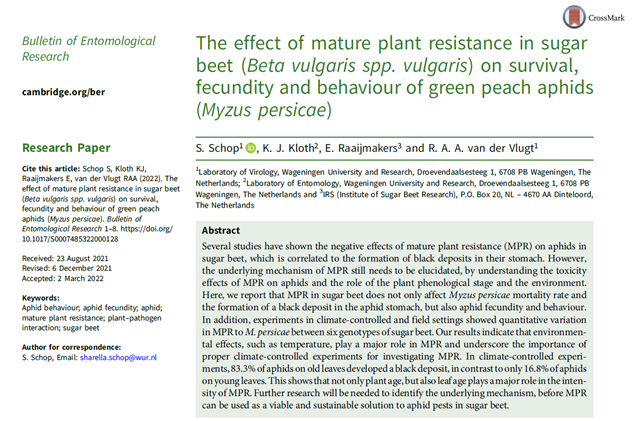 Het effect van ouderdomsresistentie in suikerbiet op de overleving, vermeerdering en het gedrag van groene perzikluizen